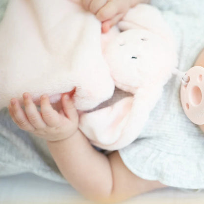 Pacifier Buddy - Betty Bunny